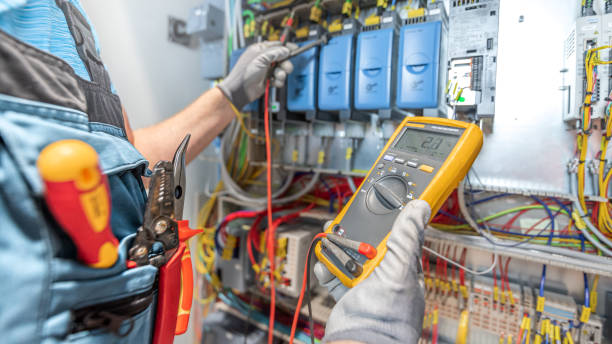 Best Electric Panel Repair  in Logan, IA